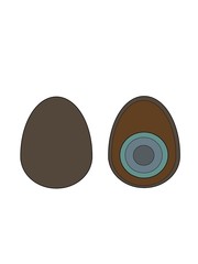 illustration of a century egg