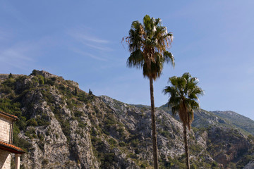 Fototapeta premium An old fortress on top of a mountain.
