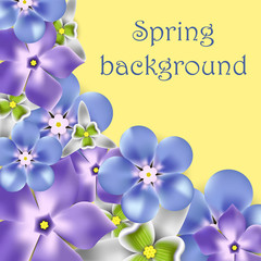 spring background with snowdrops, periwinkles and brunnera