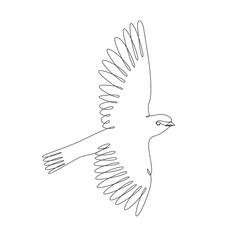 Bird one line drawing on white isolated background. Vector illustration