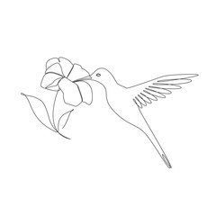 Naklejka na ściany i meble Hummingbird near the flower one line drawing on white isolated background. Vector illustration