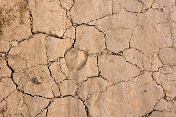SOIL TEXTURE ABSTRACT PHOTOGRAPHY