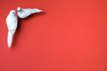 Two white doves, symbol of love, kissing on red background