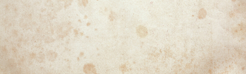 grunge old sheet of paper. parchment.