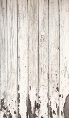 light wooden background texture. natural oak.