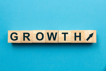 GROWTH Word Written On Wood Cube 