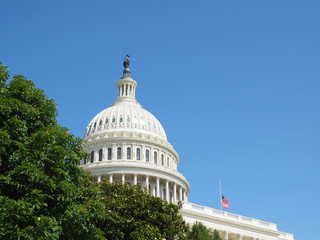 Obraz premium Dome Capitol building.