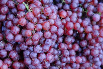 Soft focus group of fresh ripe red grapes in the market.Red wine grapes background.A lot of ripe...