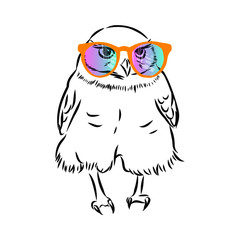 owl with rainbow glasses 