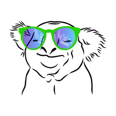 illustration of cartoon face happy koala with rainbow glasses 