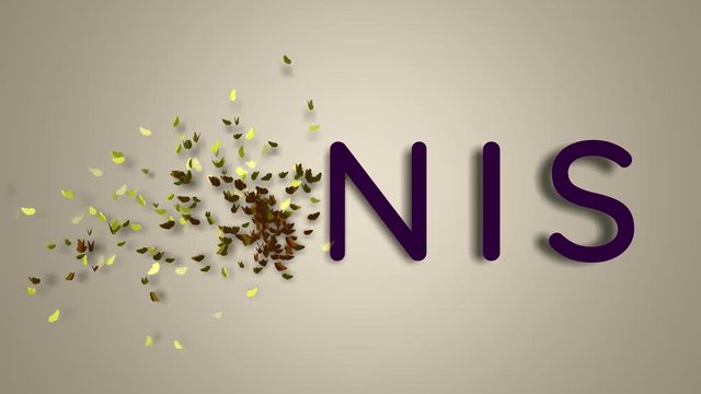 Name is Janis. The female name on a light background disappears flying in butterflies. Minimal graphics. 4k