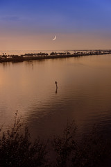 Moon over Tampa Bay, Florida