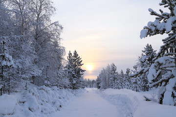 Winter landscape with a road in the North of Western Siberia