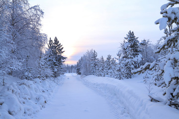 Winter landscape with road and forest in Russia
