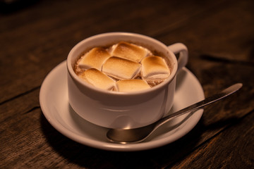 a cup of hot chocolate with marshmallows