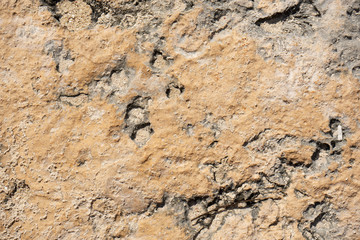 Rock texture and background at the beach