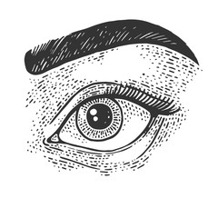 Beauty woman eye sketch engraving vector illustration. T-shirt apparel print design. Scratch board imitation. Black and white hand drawn image.