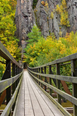 Fototapeta na wymiar Old wooden bridge in a national park in the Czech Republic. Vertical photo was taken in autumn.