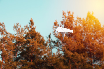 white paper airplane in the air amid trees lit by the warm light of the sun