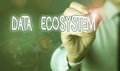 Word writing text Data Ecosystem. Business photo showcasing collection of infrastructure used to capture and analyze data