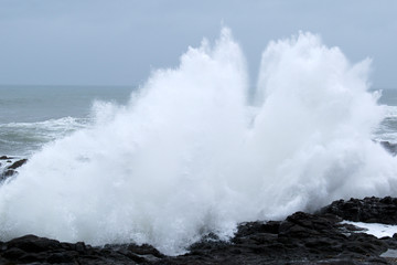 Sea Spray 2