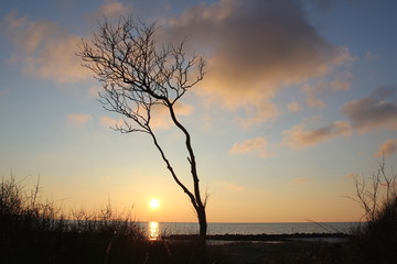 Naklejka premium Abendstimmung