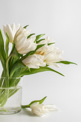 Naklejka na ściany i meble White tulips in a vase on a white background with space for text. Women's day Spring bouquet.