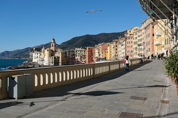 Naklejka premium Una splendida passeggiata a Camogli con un gabbiano per compagnia