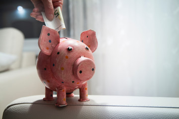 Geld sparen in Sparschwein / clever Investieren / 5 Euro Schein