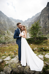 Happy bride and groom on their wedding. The groom kisses the forehead of the bride. Portrait of the bride. Newlyweds in the park. Happy couple. Wedding photo. Couple in love.