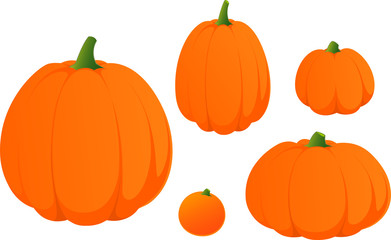 Vector illustration of various Halloween pumpkins isolated on white backgrund