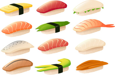 Vector illustration of different kinds of nigiri sushi isolated on white background