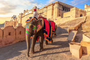Riding an elephant in Amber Fort, Jaipur, Rajasthan, India
