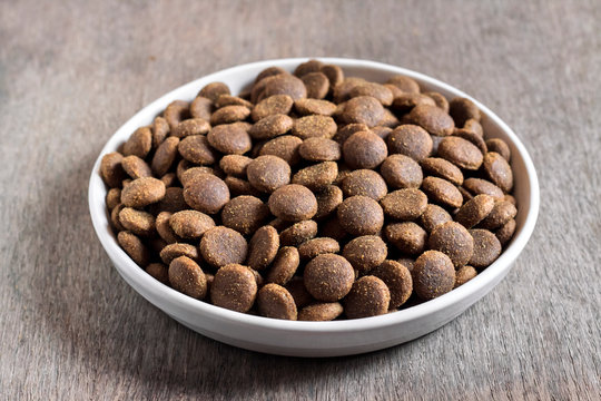 Dry pet food in a white ceramic bowl on wooden background