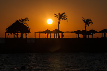 Silhouettes of palm trees, bungalows and beach umbrellas during sunrise. Beach silhouette. Red sea.