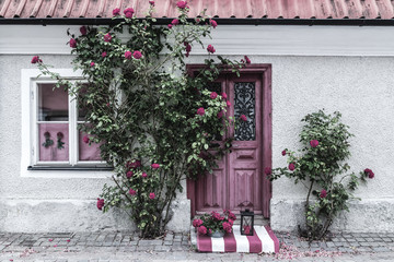 Fototapeta na wymiar Picturesque house entrance decorated with roses