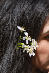 Naklejka premium Blossom flowers in hair