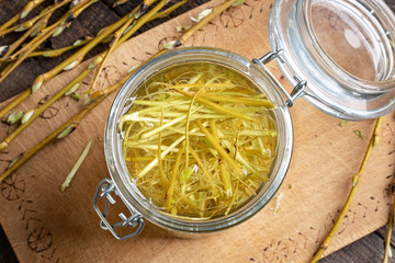 Preparation of herbal tincture from white willow bark © Madeleine Steinbach