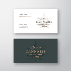Cannabis CBD Hemp Leaf Sketch Abstract Vector Sign or Logo and Business Card Template. Premium Stationary Realistic Mock Up. Hand Drawn Medical Herb Emblem with Modern Typography.
