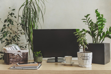 Workplace  home among plants in the home garden, the concept of freelance, work at home, a cozy...