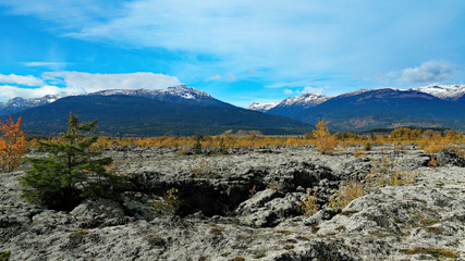 Old lava bed covered in lichen with mountains in the background