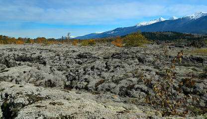 Old lava bed covered in lichen with mountains in the background