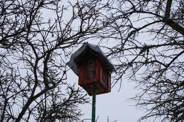 birdhouse on tree