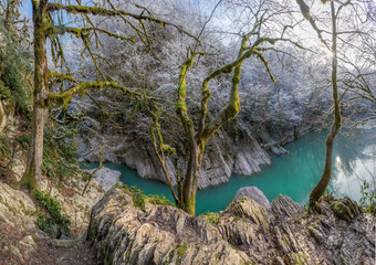 Fototapete bei efototapeten.de bestellen   