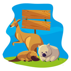 animals of australia over landscape