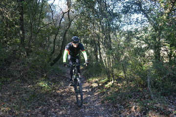 Mountain biker through a forest