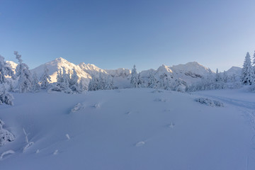 Fototapeta na wymiar Snowy peaks of the High Tatras in the afternoon sun.