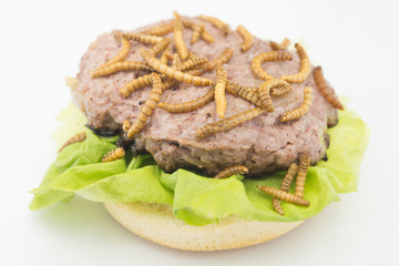 Burger with endible worm in white background