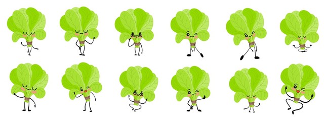 Spinach character. Cute cartoon. Vegetables and greens. Beneficial features. Sorrel leaves..