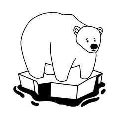 polar bear on an ice floe drifting on white background